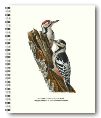 Gullers Trading Skrivebok ulinjert