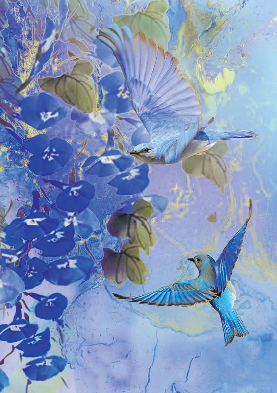 Artige Vivien 12x17 doble