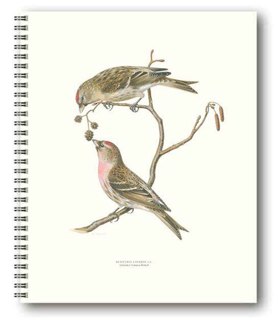 Gullers Trading Skrivebok ulinjert