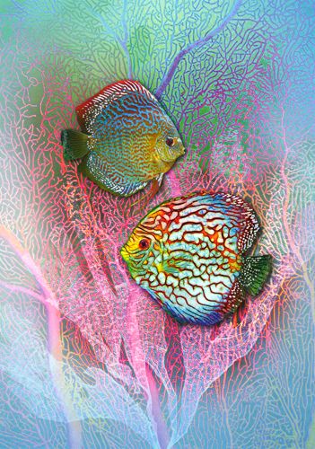 Artige Vivien 12x17 doble