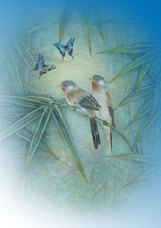 Artige Vivien 12x17 doble