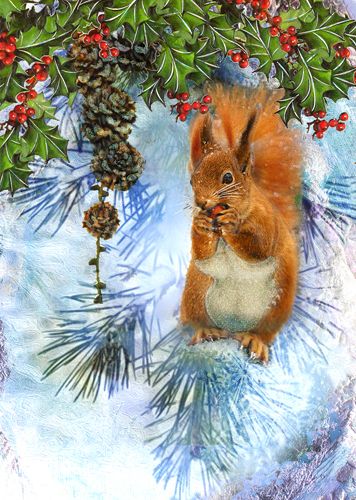 Artige Vivien 12x17 doble