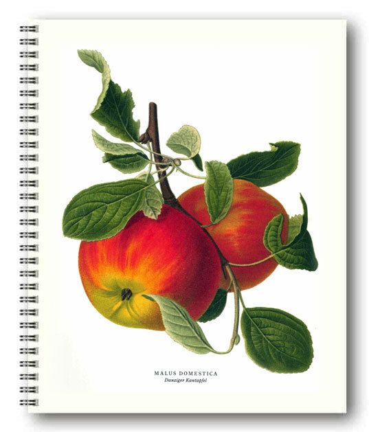 Gullers Trading Skrivebok ulinjert