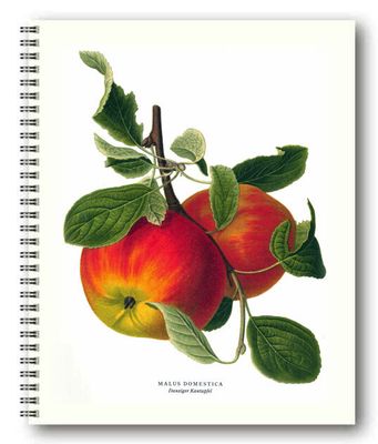 Gullers Trading Skrivebok ulinjert