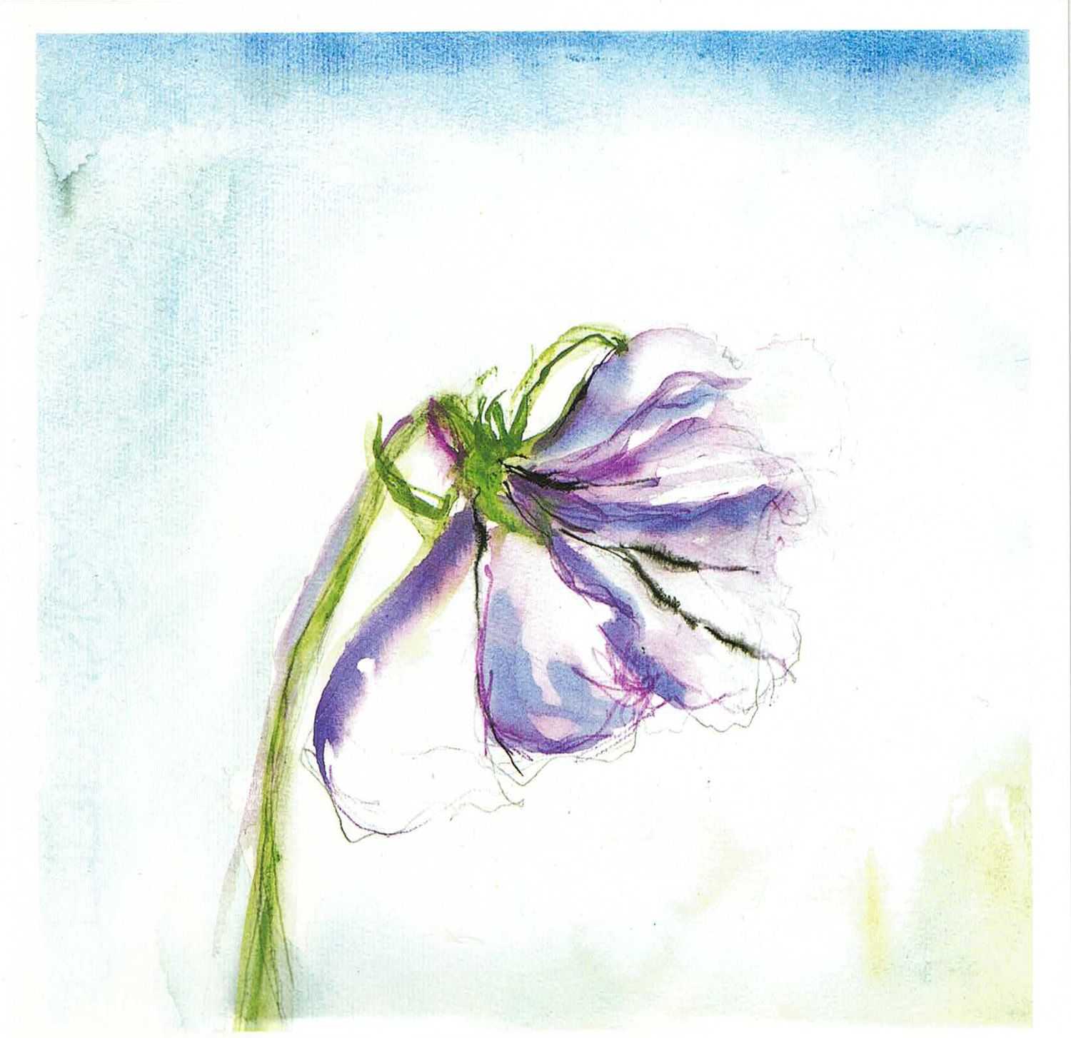 Artist Card New Leaf