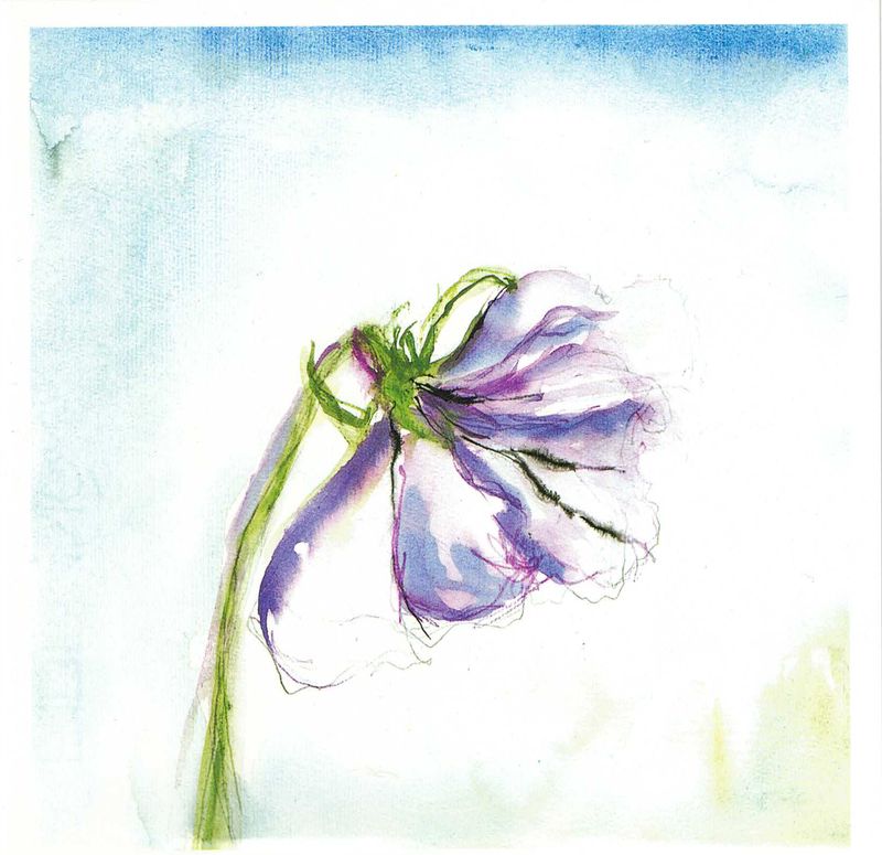 Artist Card New Leaf