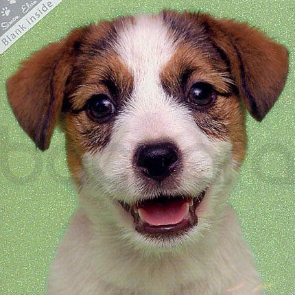 SWK 03 16x16 cm 6-pakk