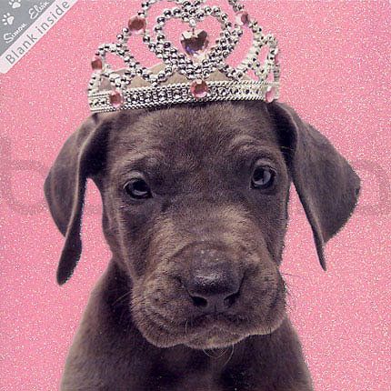 SWK 05 16x16 cm 6-pakk