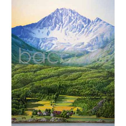 675 Jan Harr kunstkort 12x17 cm 5-pakk