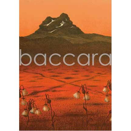 618 Eva Harr kunstkort 12x17 cm 5-pakk