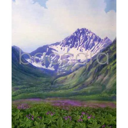 677 Jan Harr kunstkort 12x17 cm 5-pakk