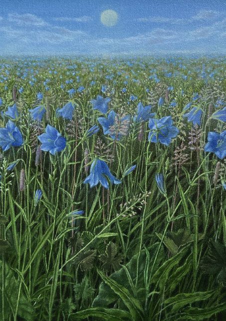 698 Jan Harr kunstkort 12x17 cm 5-pakk