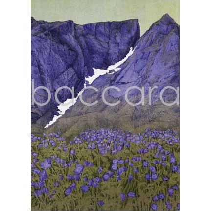 603 Jan Harr kunstkort 12x17 cm 5-pakk