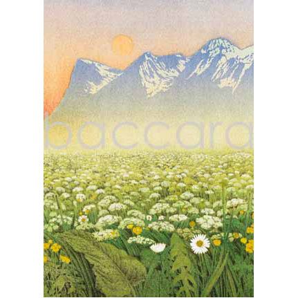 614 Jan Harr kunstkort 12x17 cm 5-pakk