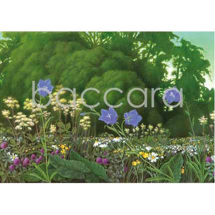 565 Jan Harr kunstkort 12x17 cm 5-pakk