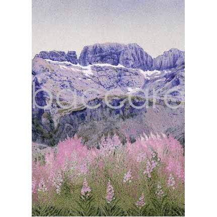 617 Jan Harr kunstkort 12x17 cm 5-pakk