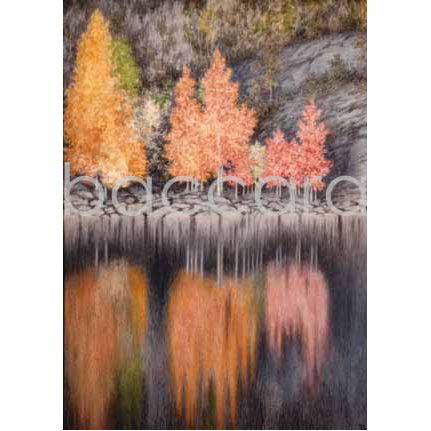 602 Th. Kittelsen kunstkort 12x17 cm 5-pakk