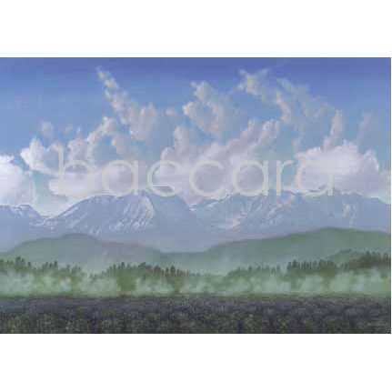 425 Jan Harr kunstkort 12x17 cm 5-pakk