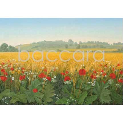 566 Jan Harr kunstkort 12x17 cm 5-pakk