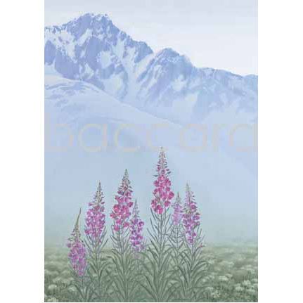 562 Jan Harr kunstkort 12x17 cm 5-pakk