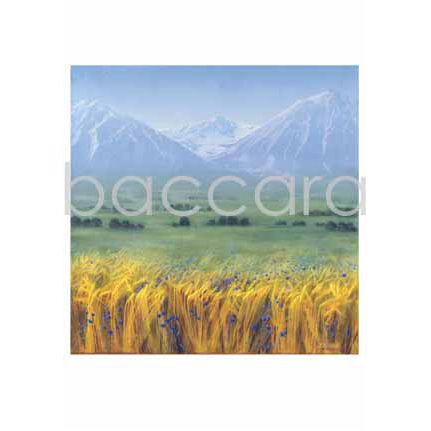 419 Jan Harr kunstkort 12x17 cm 5-pakk