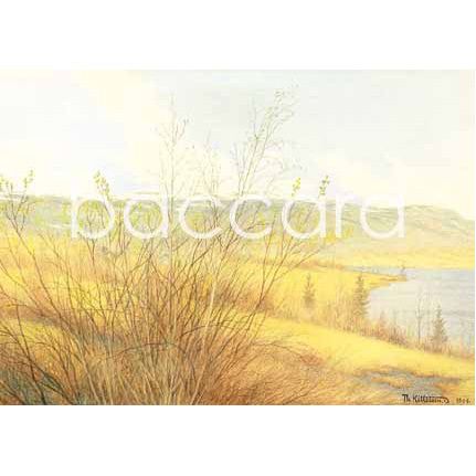 534 Th. Kittelsen kunstkort 12x17 cm 5-pakk