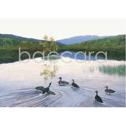 533 Th. Kittelsen kunstkort 12x17 cm 5-pakk