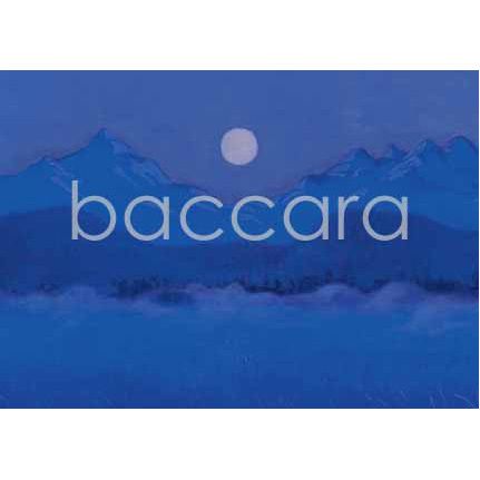 455 Eva Harr kunstkort 12x17 cm 5-pakk