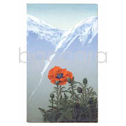 421 Jan Harr kunstkort 12x17 cm 5-pakk