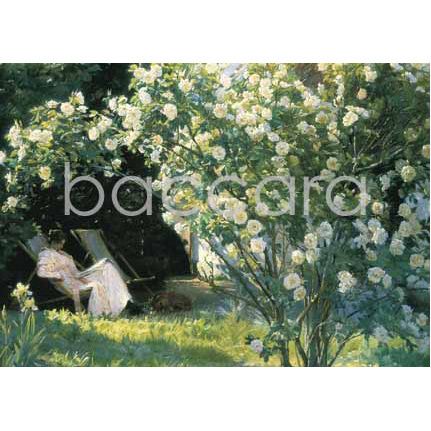 328 P. S. Kr�yer kunstkort 12x17 cm 5-pakk