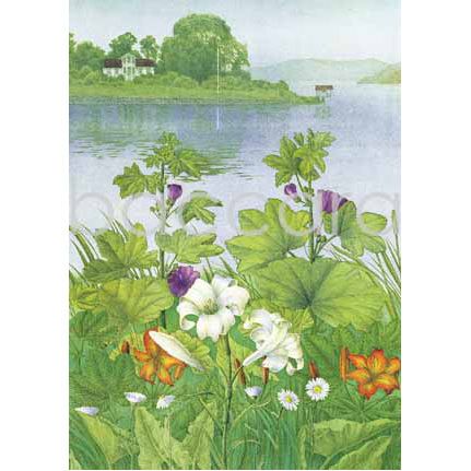 299 Jan Harr kunstkort 12x17 cm 5-pakk