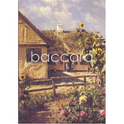 294 P M�nsted kunstkort 12x17 cm 5-pakk