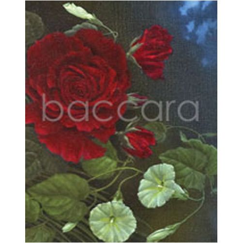 1126 mini Jan Harr 20-pakk