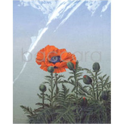 1122 mini Jan Harr 20-pakk