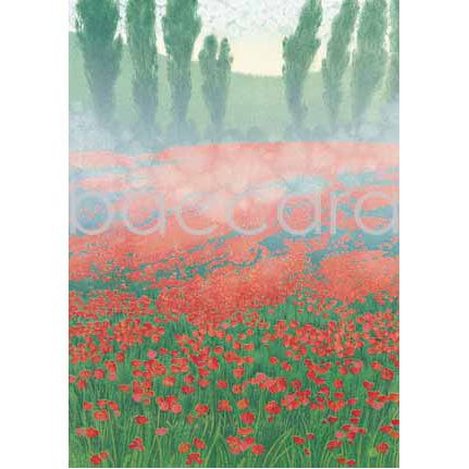 300 Jan Harr kunstkort 12x17 cm 5-pakk