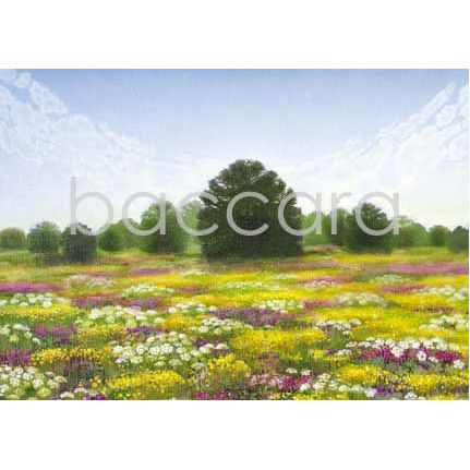 207 Jan Harr kunstkort 12x17 cm 5-pakk