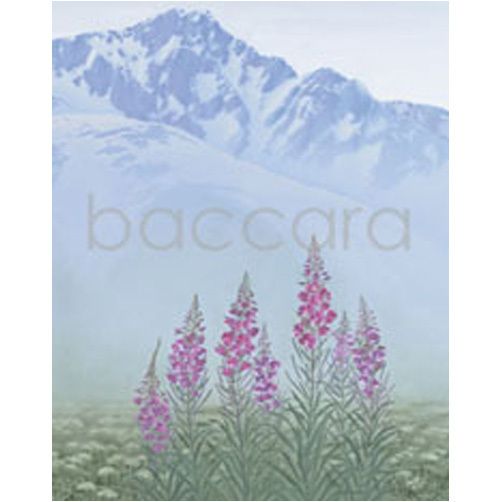 1123 mini Jan Harr 20-pakk