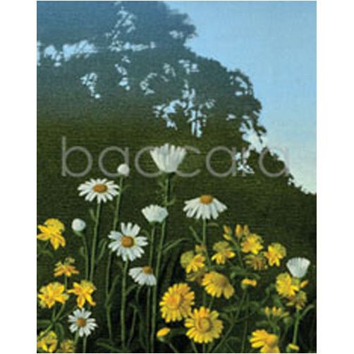 1127 mini Jan Harr 20-pakk