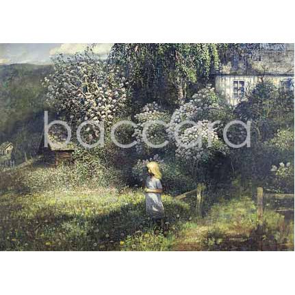 312 Arne Paus kunstkort 12x17 cm 5-pakk