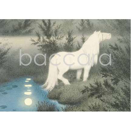 221 Th. Kittelsen kunstkort 12x17 cm 5-pakk