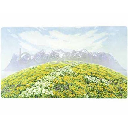 206 Jan Harr kunstkort 12x17 cm 5-pakk