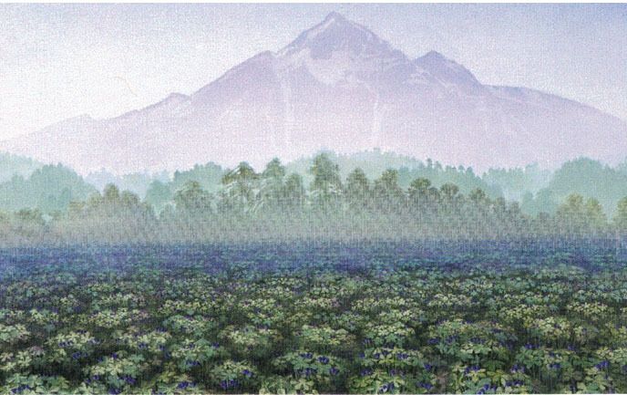 Minikort doble 9x6cm Jan Harr