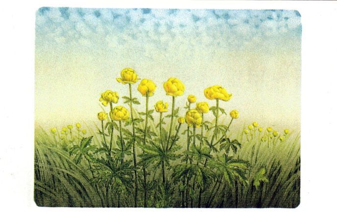 Minikort doble 9x6cm Jan Harr