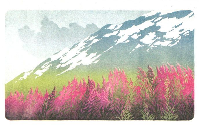 Minikort doble 9x6cm Jan Harr