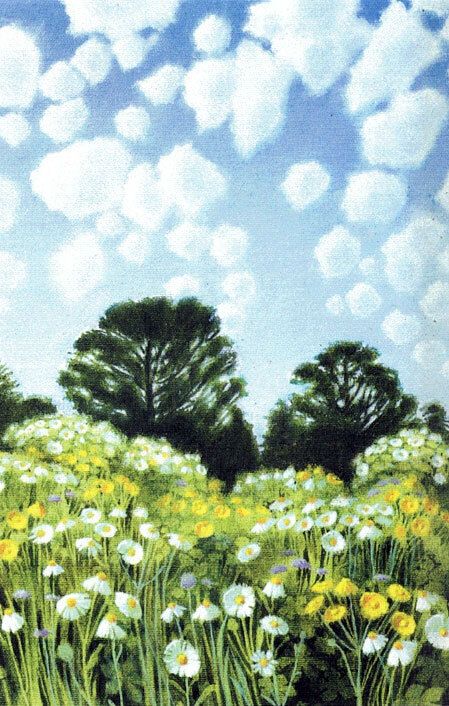 Minikort doble 9x6cm Jan Harr