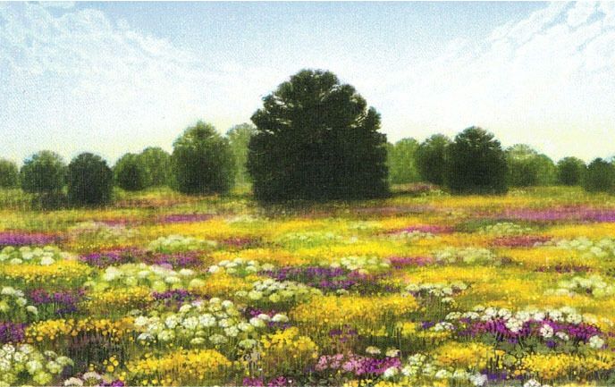 Minikort doble 9x6cm Jan Harr