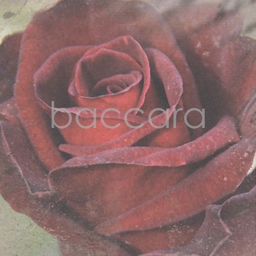 K522 Vintage 12x12 cm doble 10-pakk