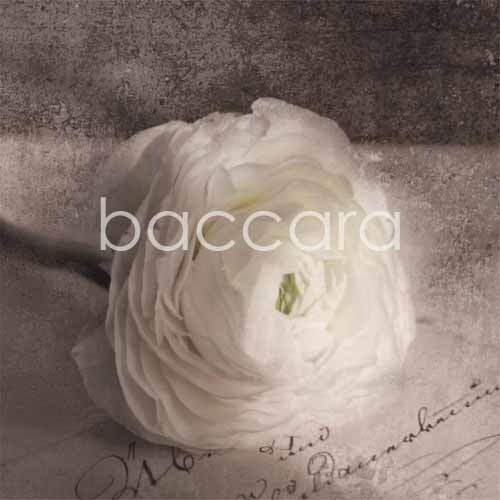 K520 Vintage 12x12 cm doble 10-pakk