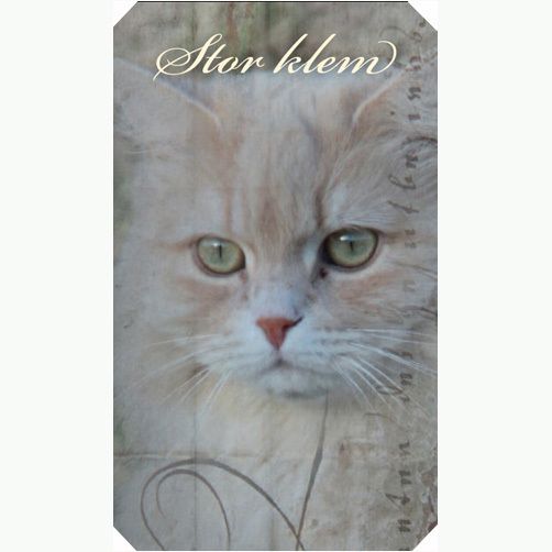 H032 Vintage gavelapp 6.3x10.5 cm 20-pakk