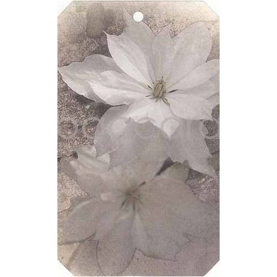 H030 Vintage gavelapp 6.3x10.5 cm 20-pakk